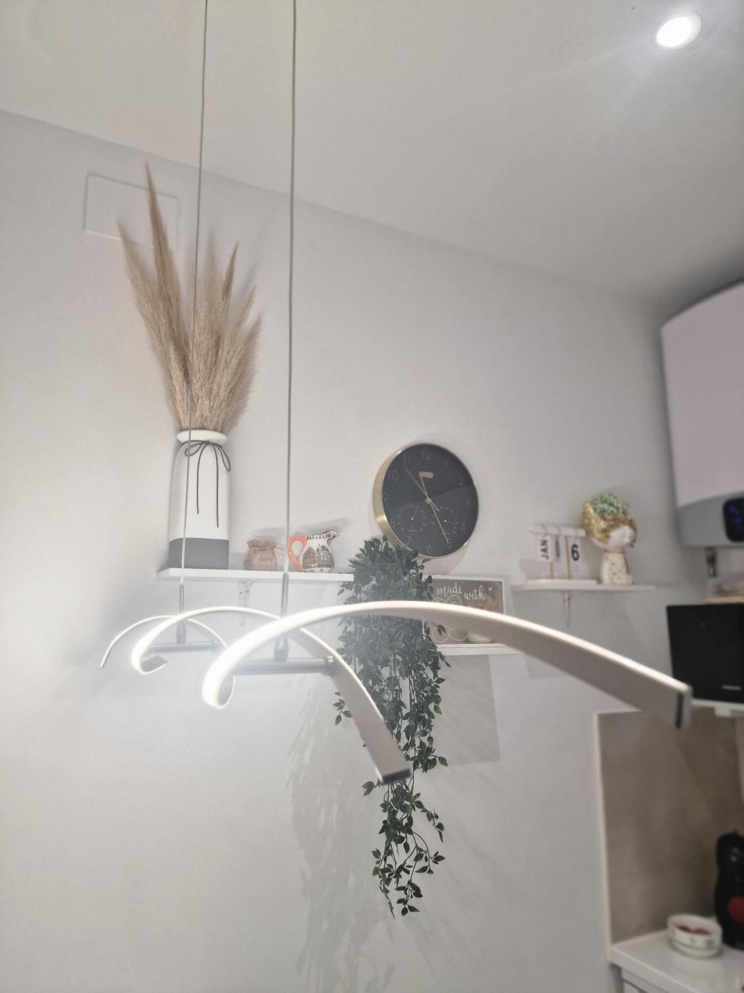 Barcelona, Apartamento De 1 Habitacion Lejlighed L'Hospitalet de Llobregat Eksteriør billede