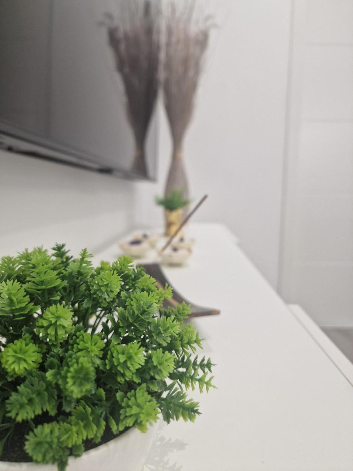 Barcelona, Apartamento De 1 Habitacion Lejlighed L'Hospitalet de Llobregat Eksteriør billede